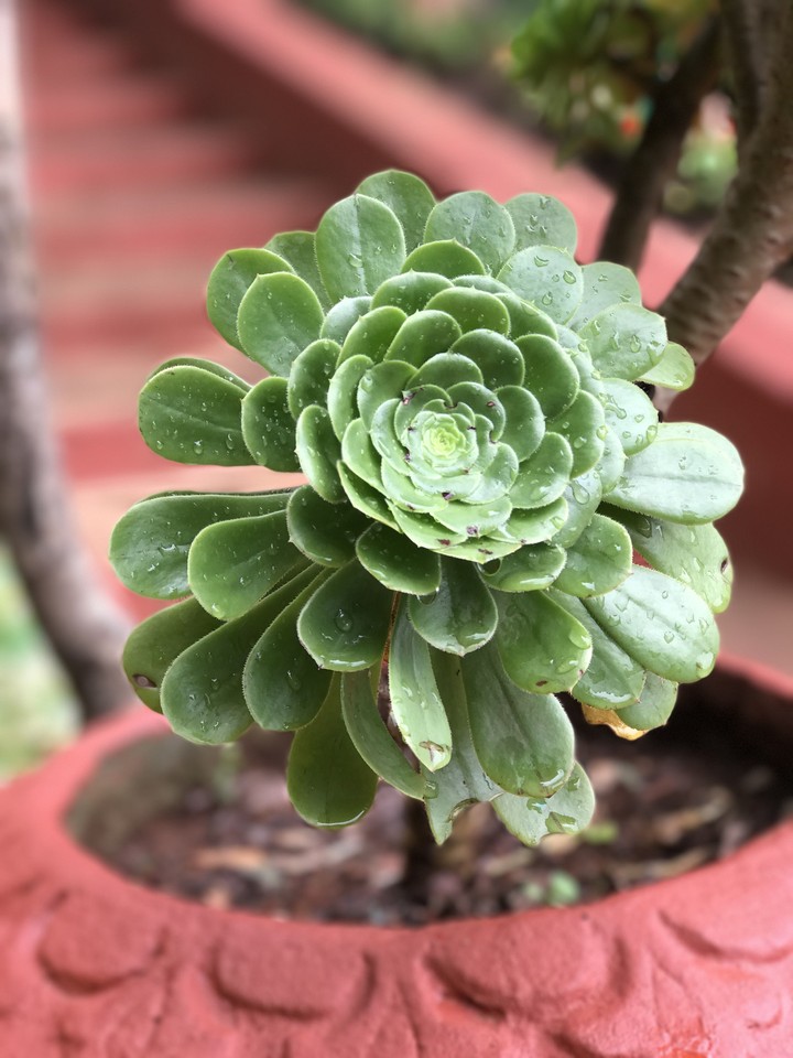 nature❤️