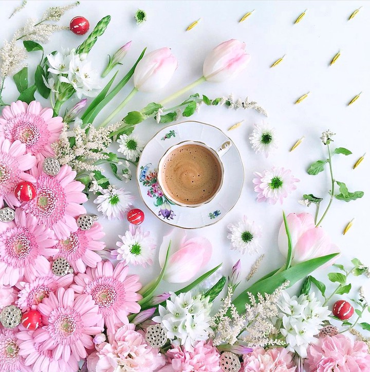 Have a nice day