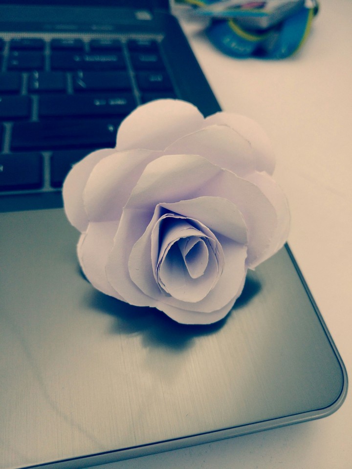 Paper Rose