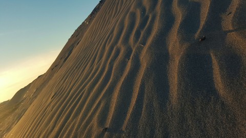 brackish ground