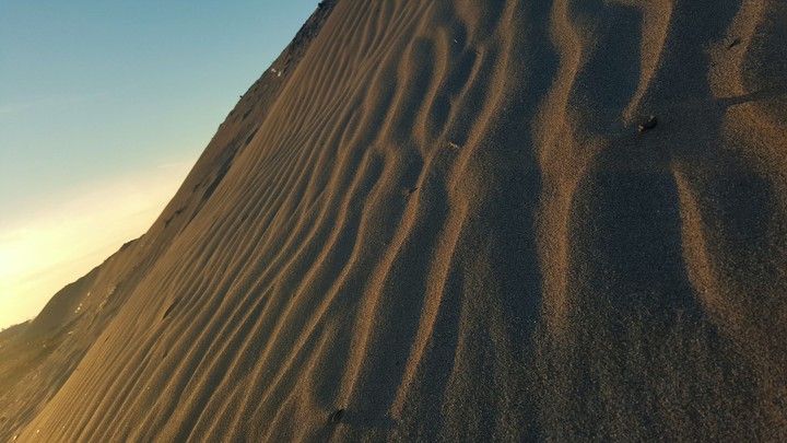 brackish ground