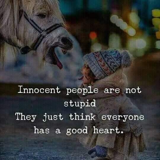 good morning