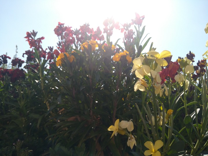 sunny day