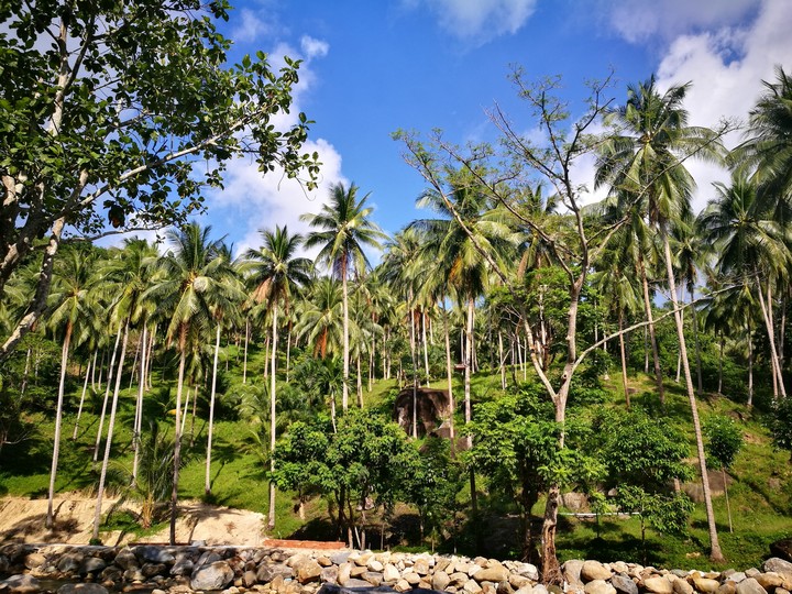 Nakhon Sithammarat, Thailand