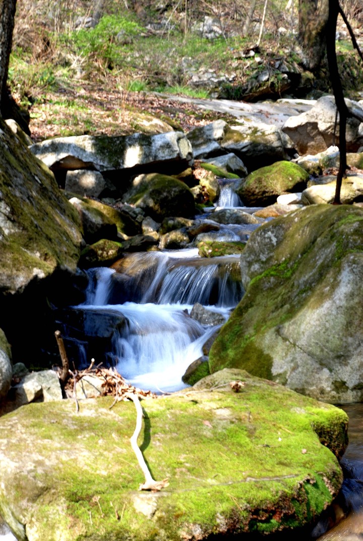 nature