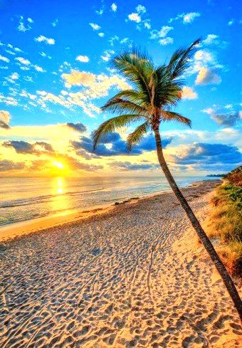 Beach Sunset