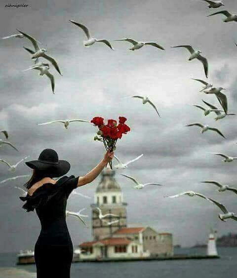 free