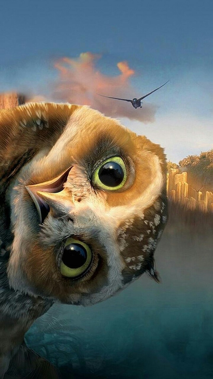 Funny owl