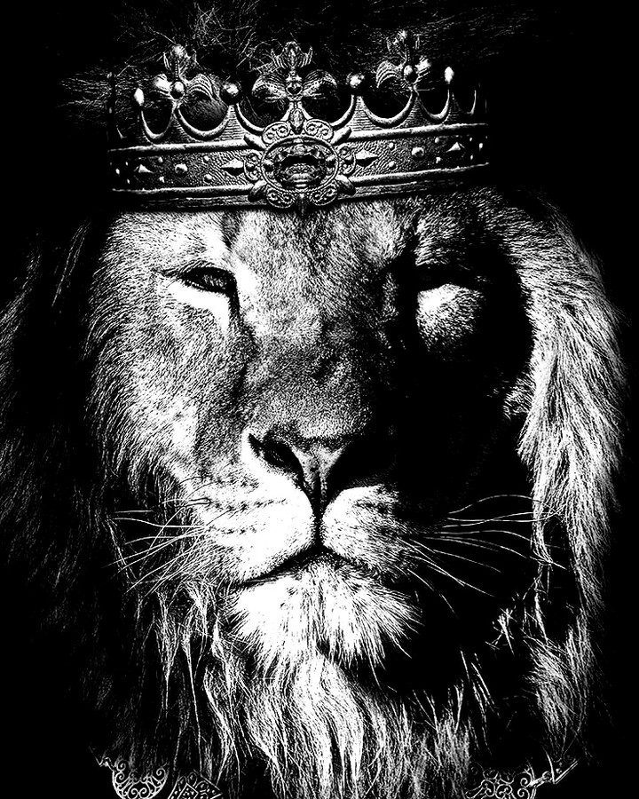 Kingg