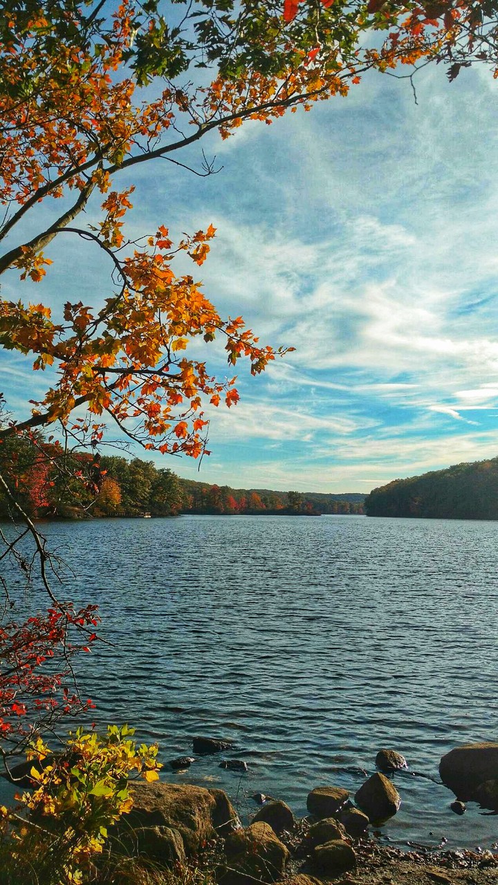 Autumn in New York