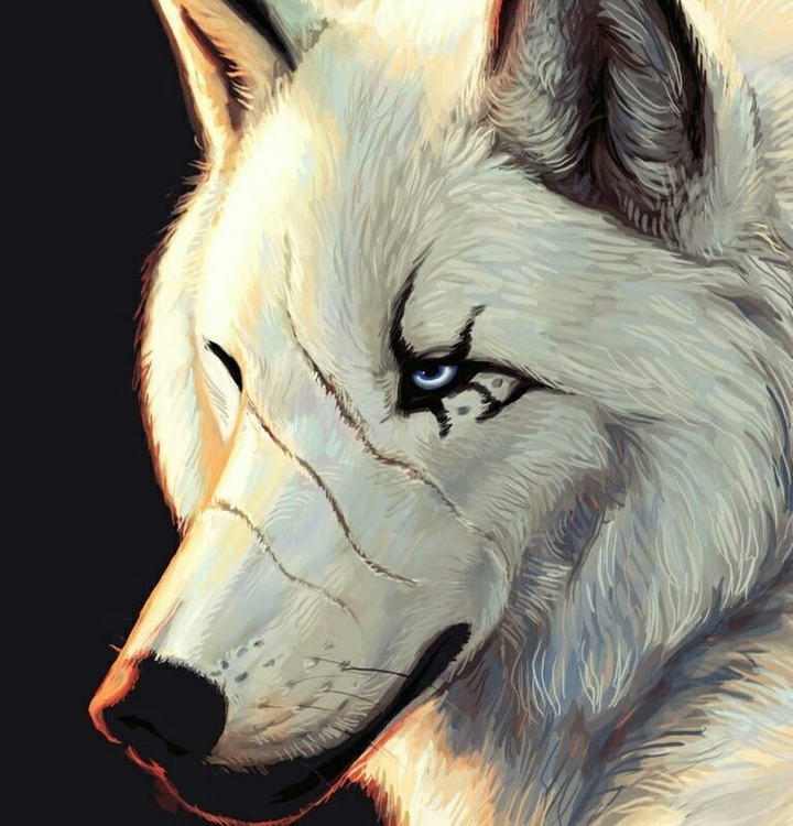 White Wolf