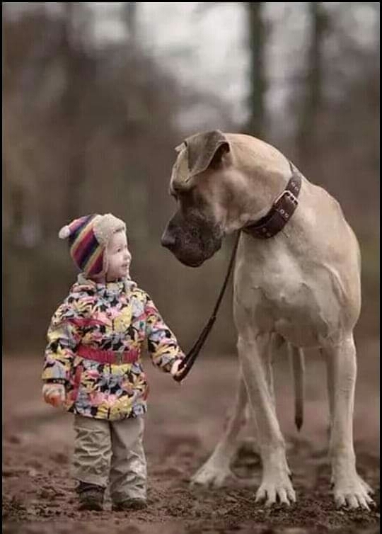 ♥♥♥♥