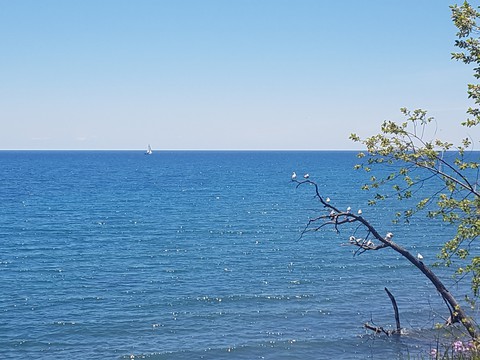 Sailboat on the Horizon