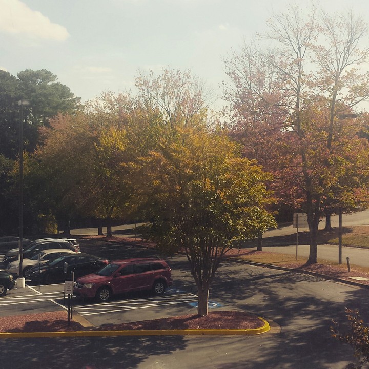 Fall property