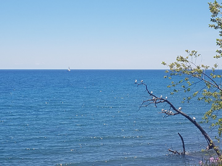 Sailboat on the Horizon