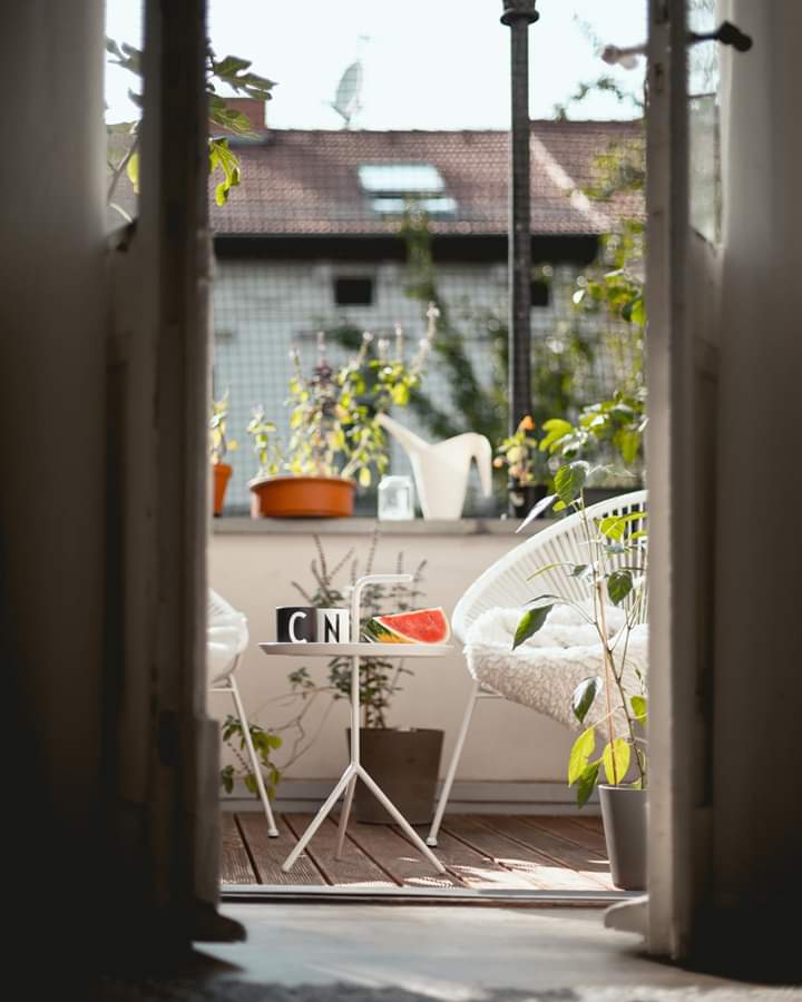 day light