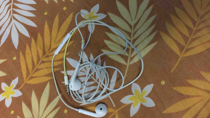 earphones