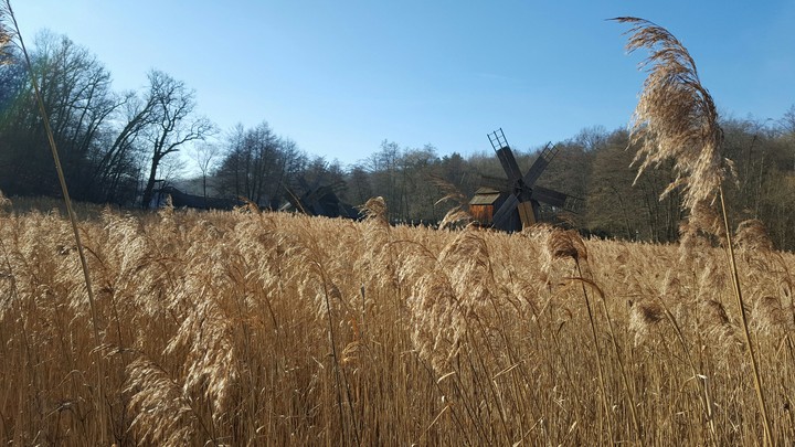 A country mill