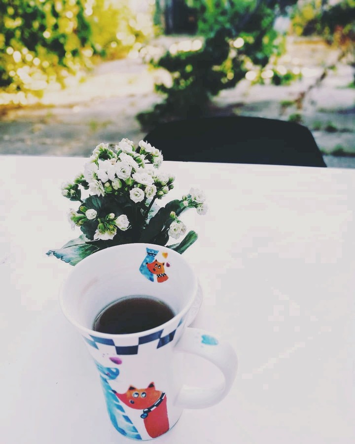 tea