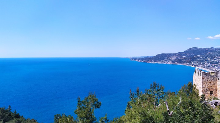 Mediterranean