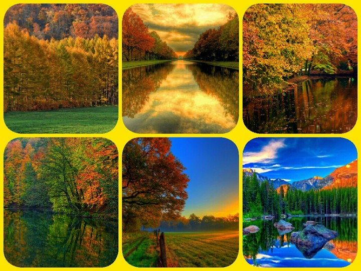 Nature