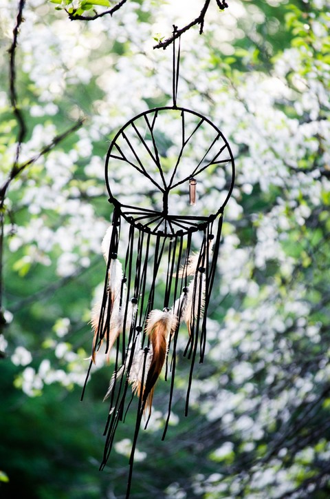 natur dream