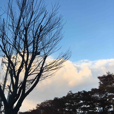 구름