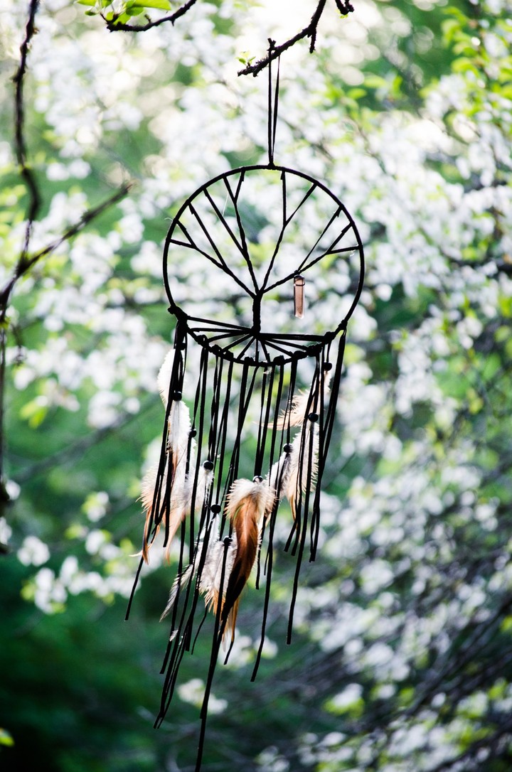 natur dream