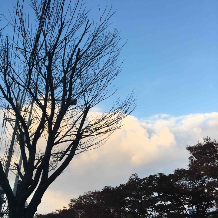 구름