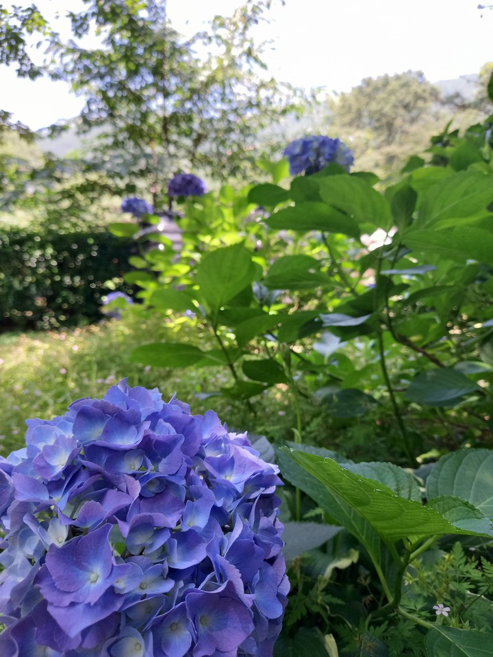 석남사