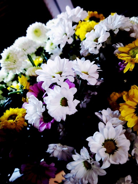 fresh flowers