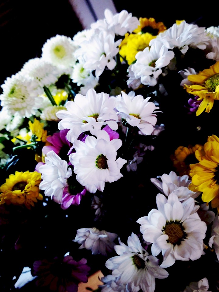 fresh flowers
