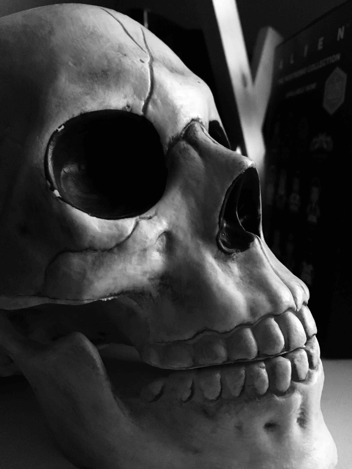 Skull