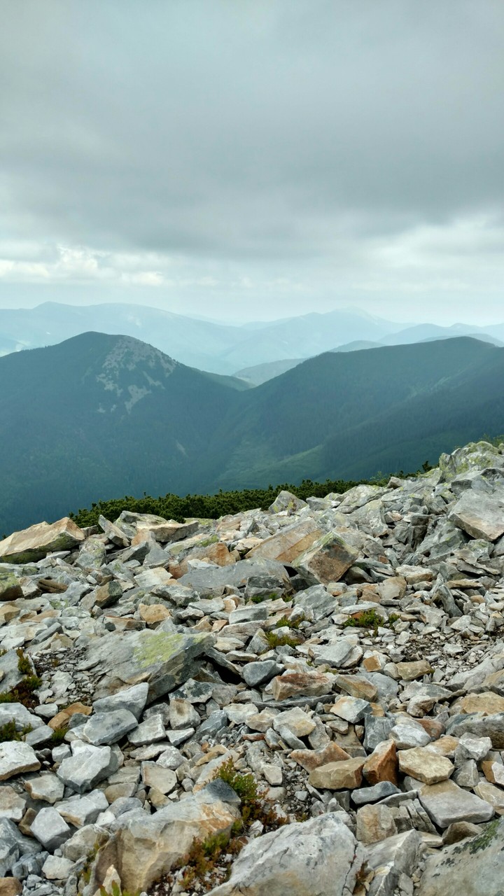 Karpaty