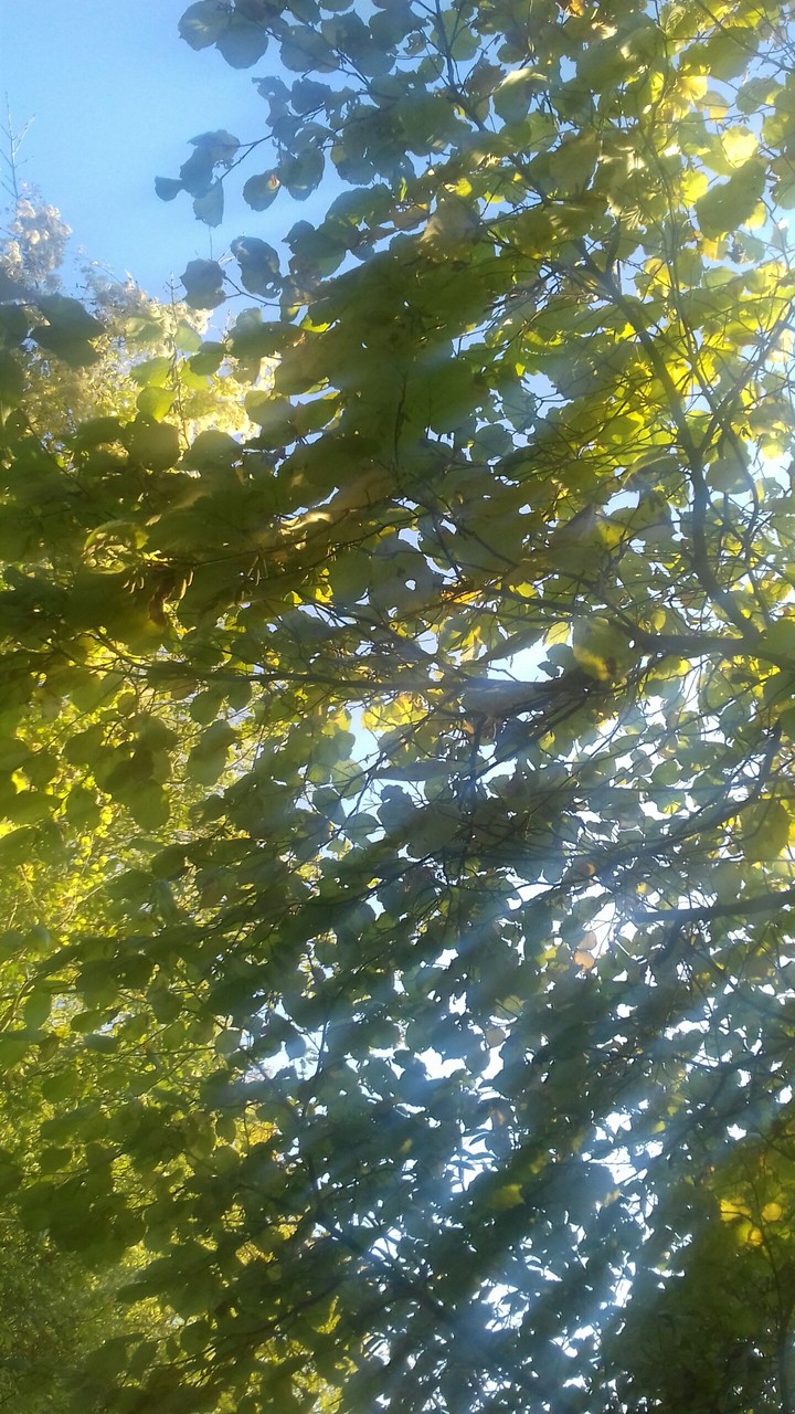 Nature.