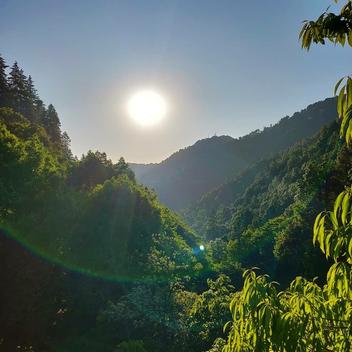 verdure heights