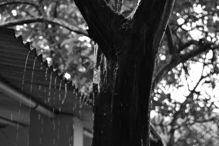 Rain came and showered me with Love.