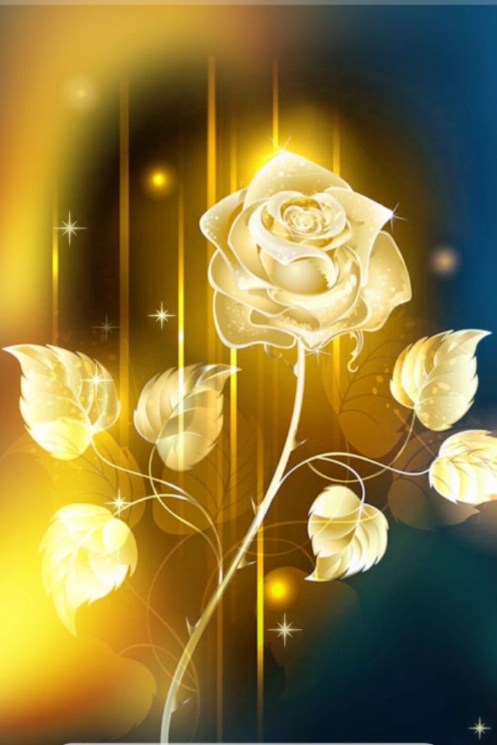 The yellow Rose...
