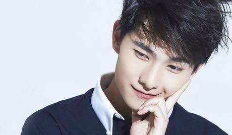 yang yang