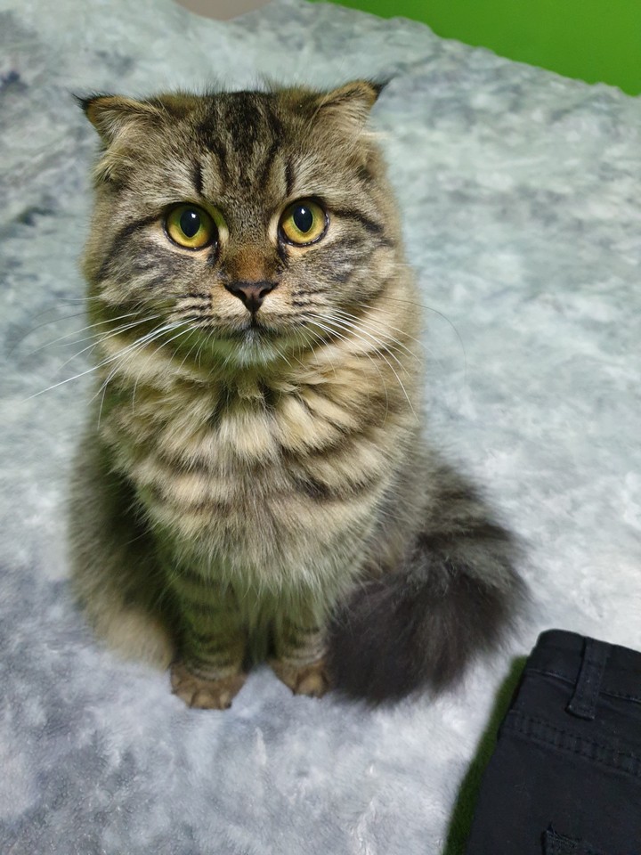 so cute♡♡♡