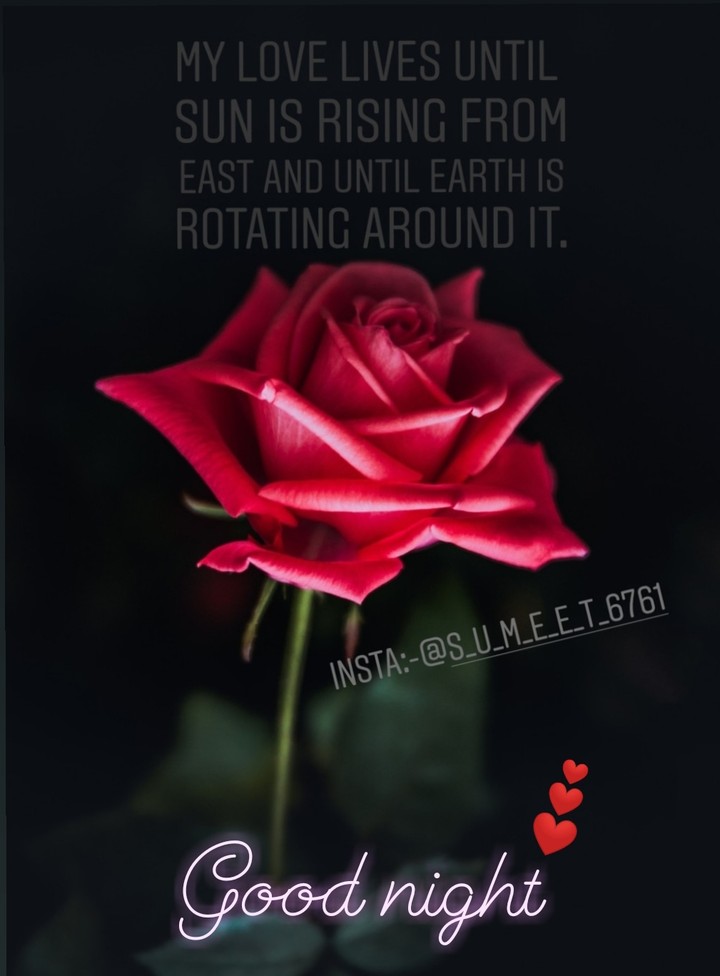 night quotes.