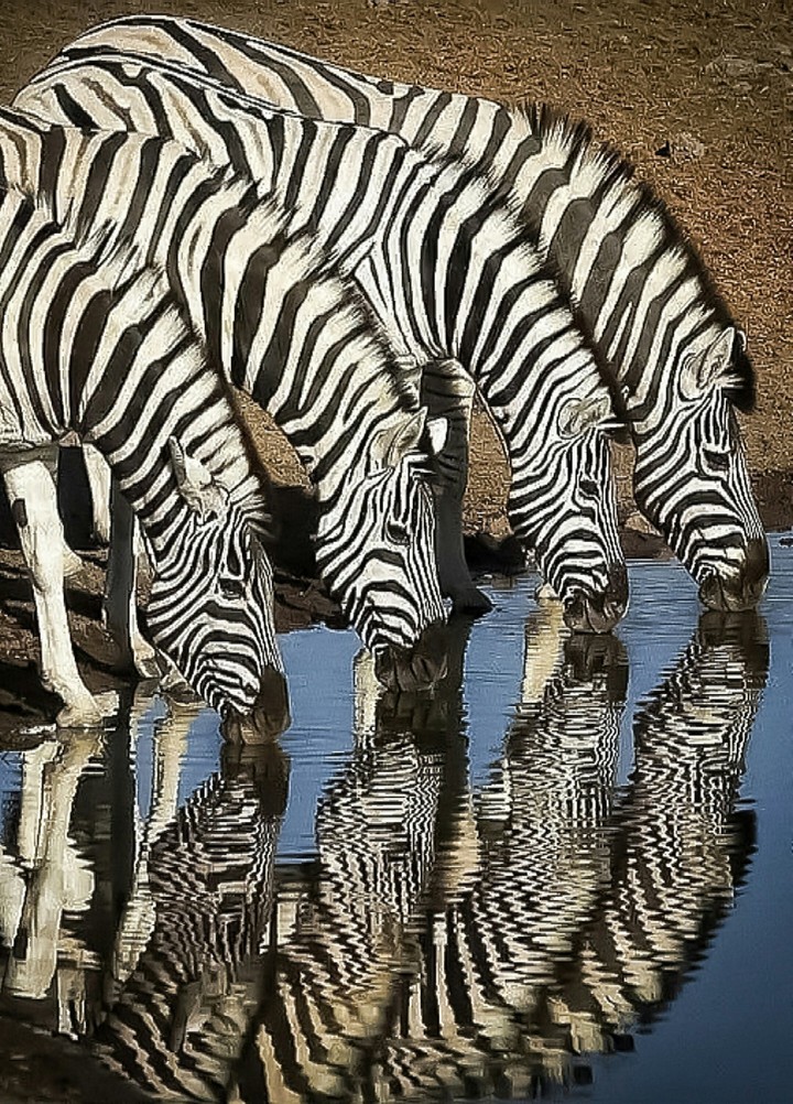A Reflection of A Sip of the Good Stuff