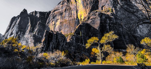 color of fall