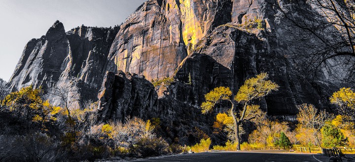 color of fall