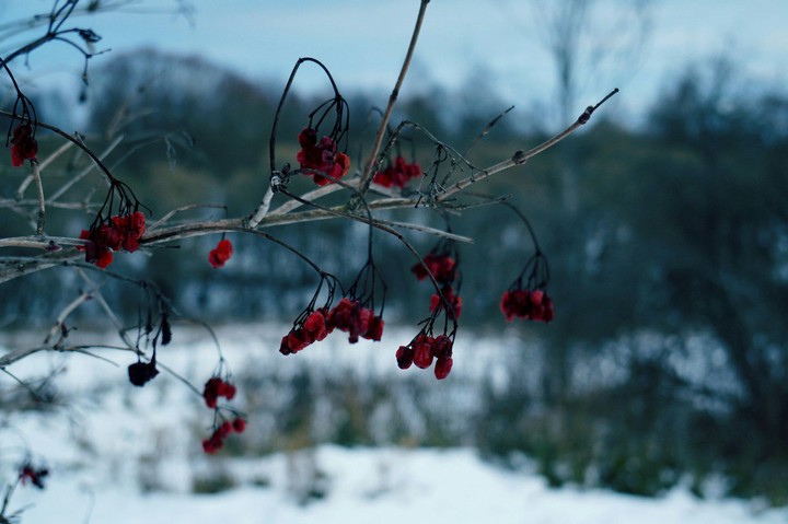 winter