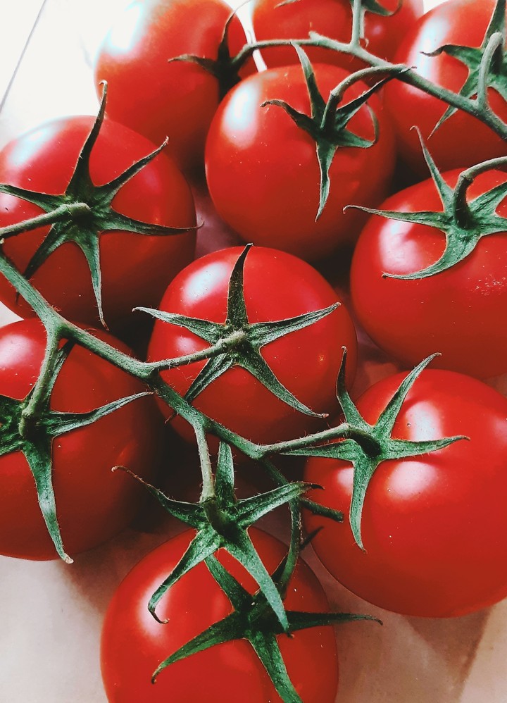 Tomato