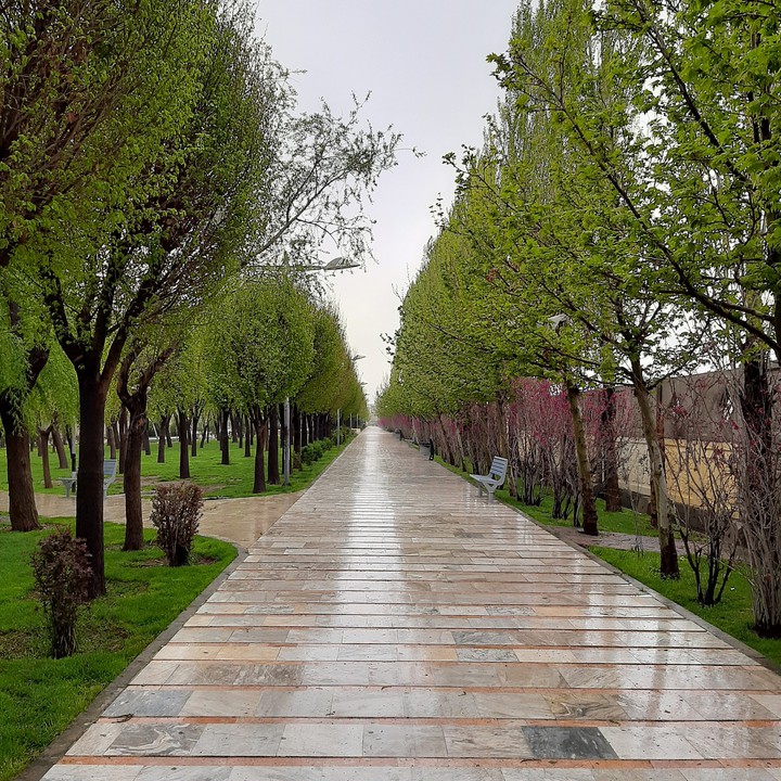Park
