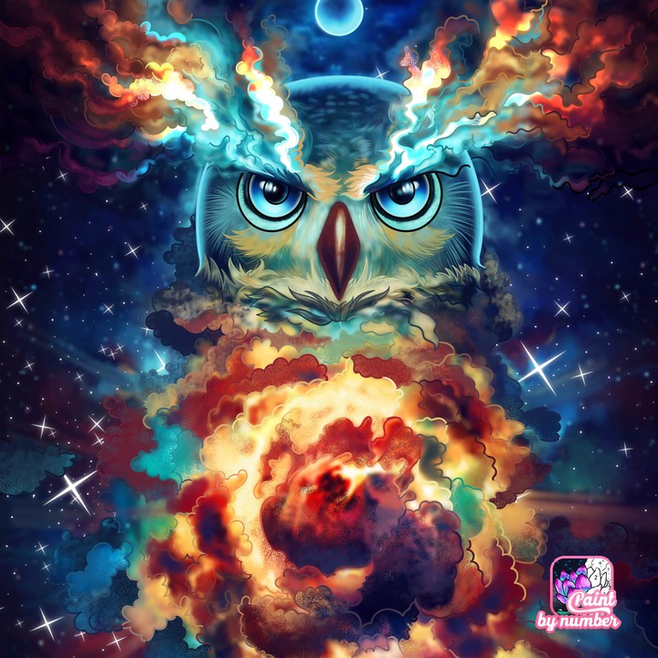 owl