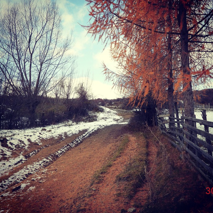 Tesila , Romania