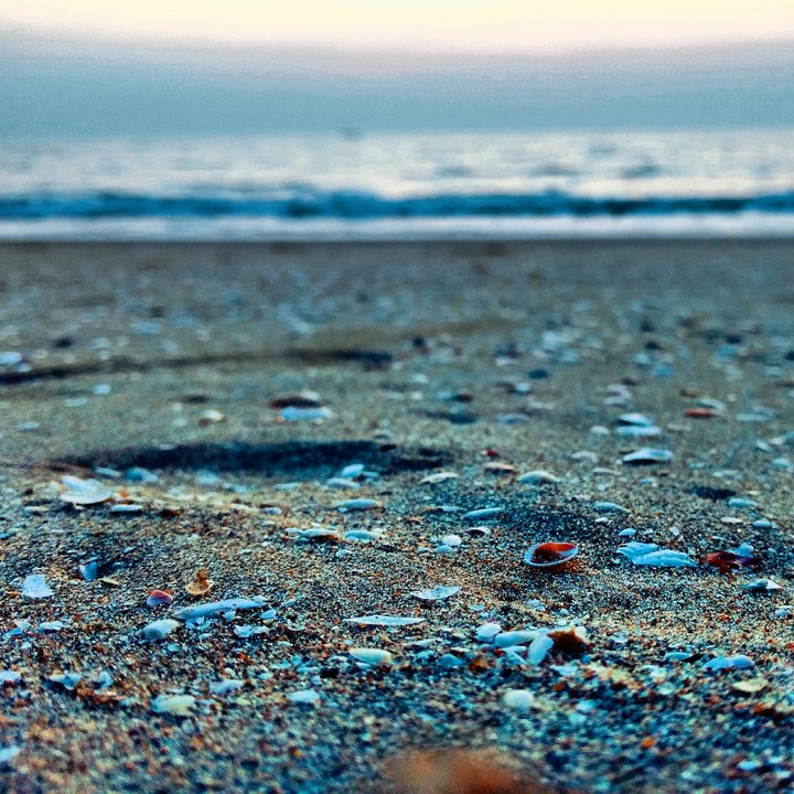 seashore